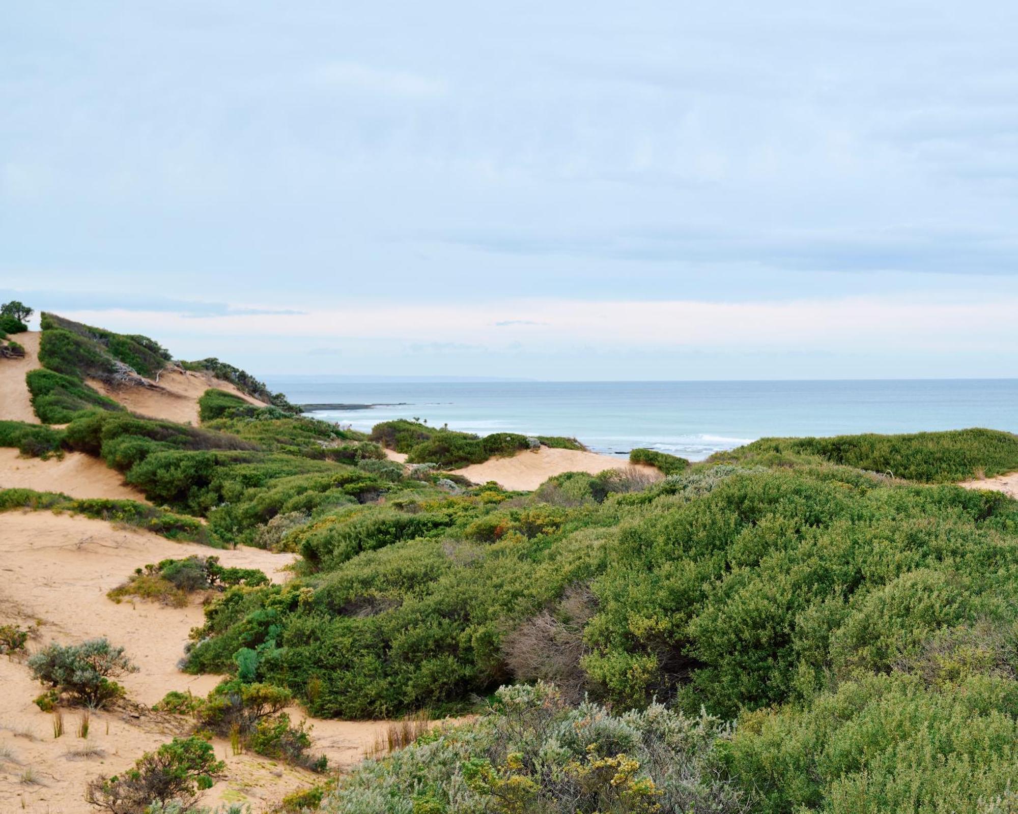 Lon Retreat Ξενοδοχείο Point Lonsdale Εξωτερικό φωτογραφία